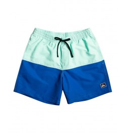 Quicksilver Men's Logo Volley 17" Swim Shorts Blue $28.80 Swimsuits